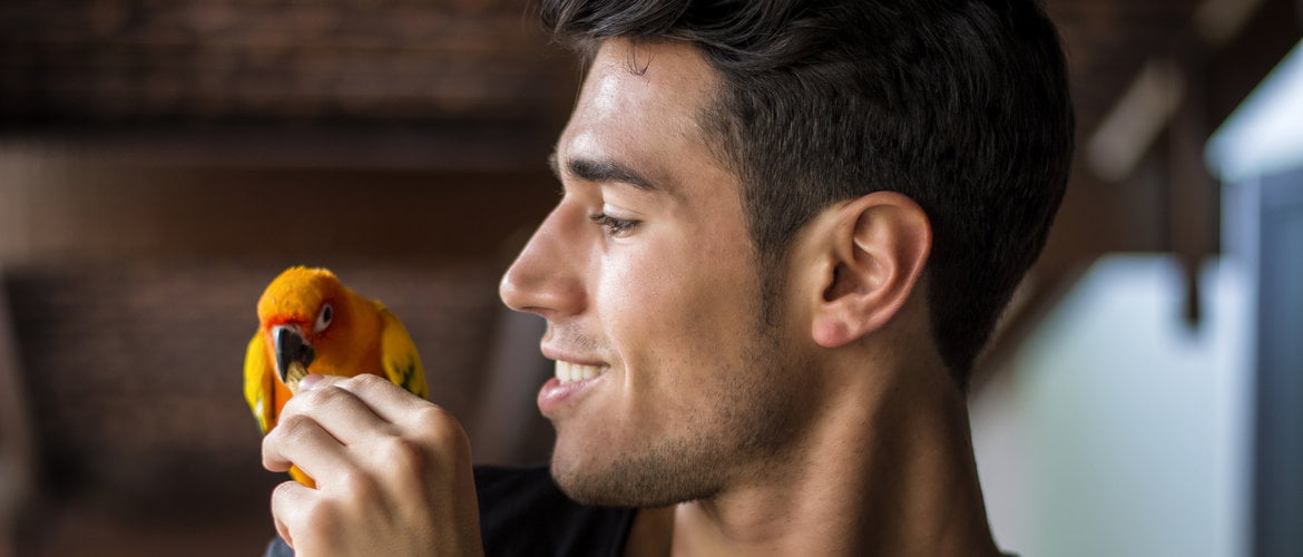Right Diet for your Pet Bird