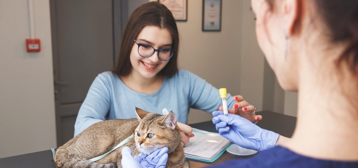 Early Testing in Cats