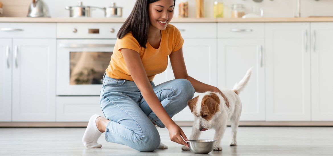 Pet Nutrition Needs