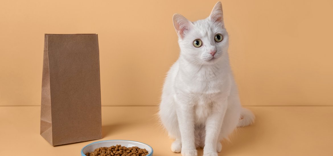 The Reasons Why Your Pet May Need Special Food