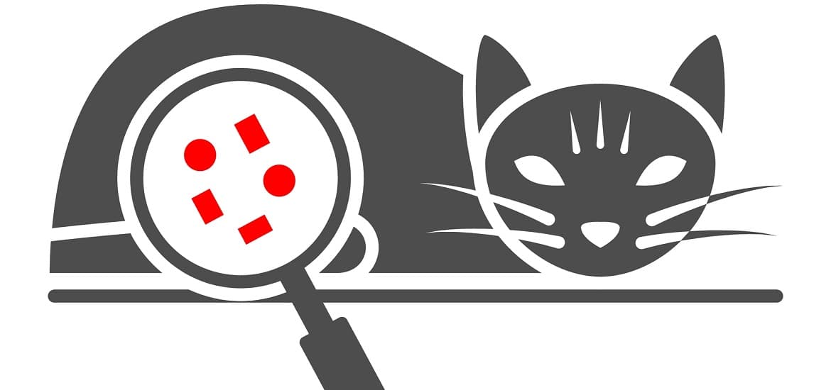 Is Feline Infectious Peritonitis (FIP) Dangerous? FIP Treatment in Cats Symptoms of FIP in