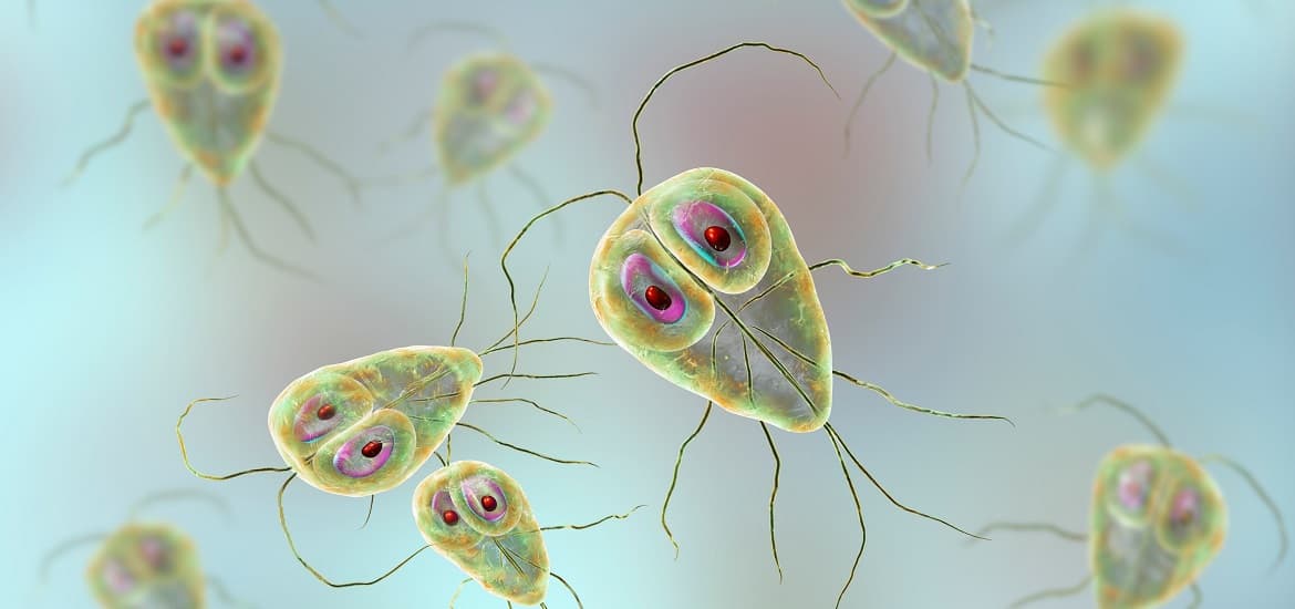 Why Giardia Is a Major Threat to Dogs, Cats and People?